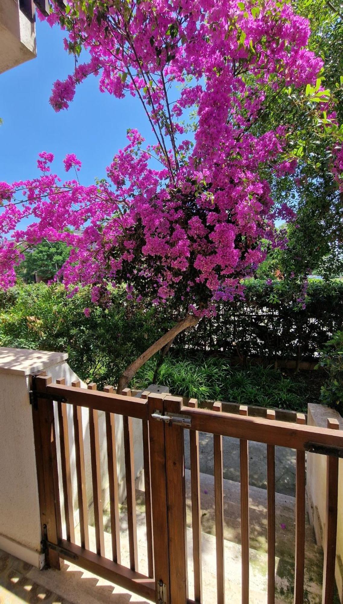 Europe Alguerhouse Apartment ภายนอก รูปภาพ